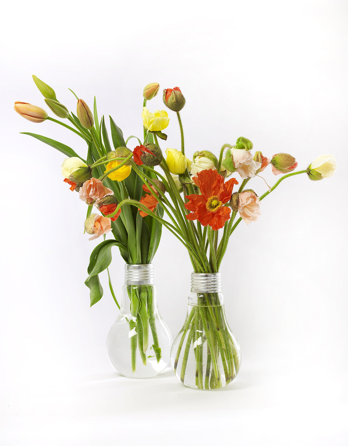 Vase Edison Bulb Available in 3 Sizes - Large - Serax - Playoffside.com