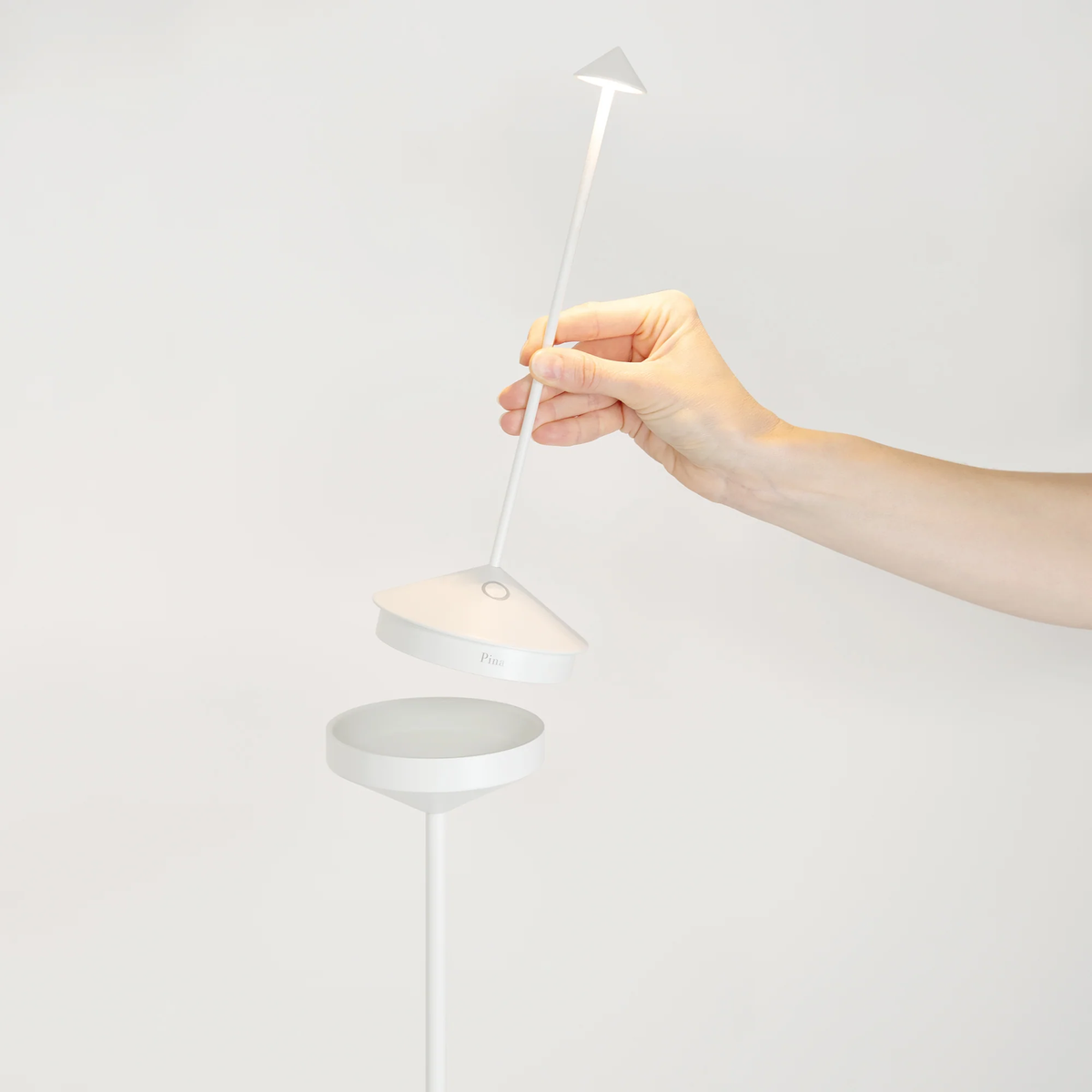 Pina Lamp