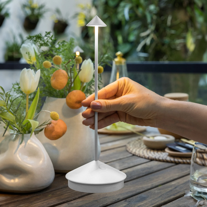 Pina Lamp